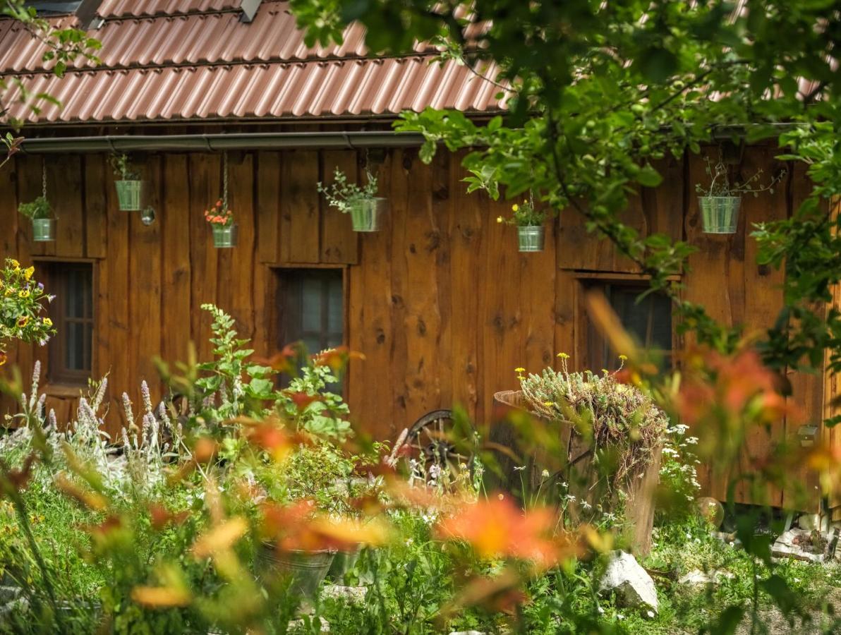 Yeti Cabin Plitvica selo Extérieur photo