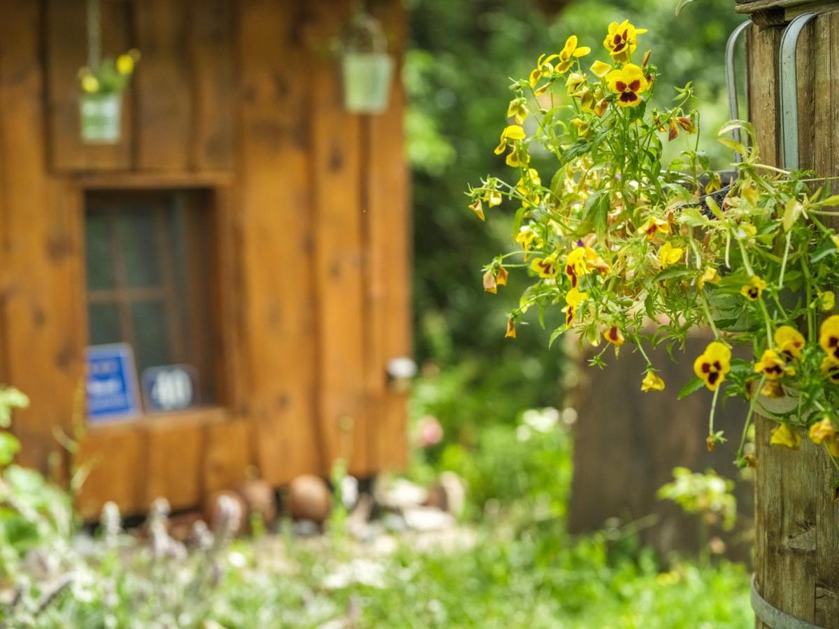 Yeti Cabin Plitvica selo Extérieur photo